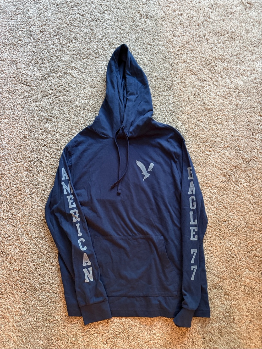 American Eagle Outfitters Navy Blue Logo Hooded Pullover